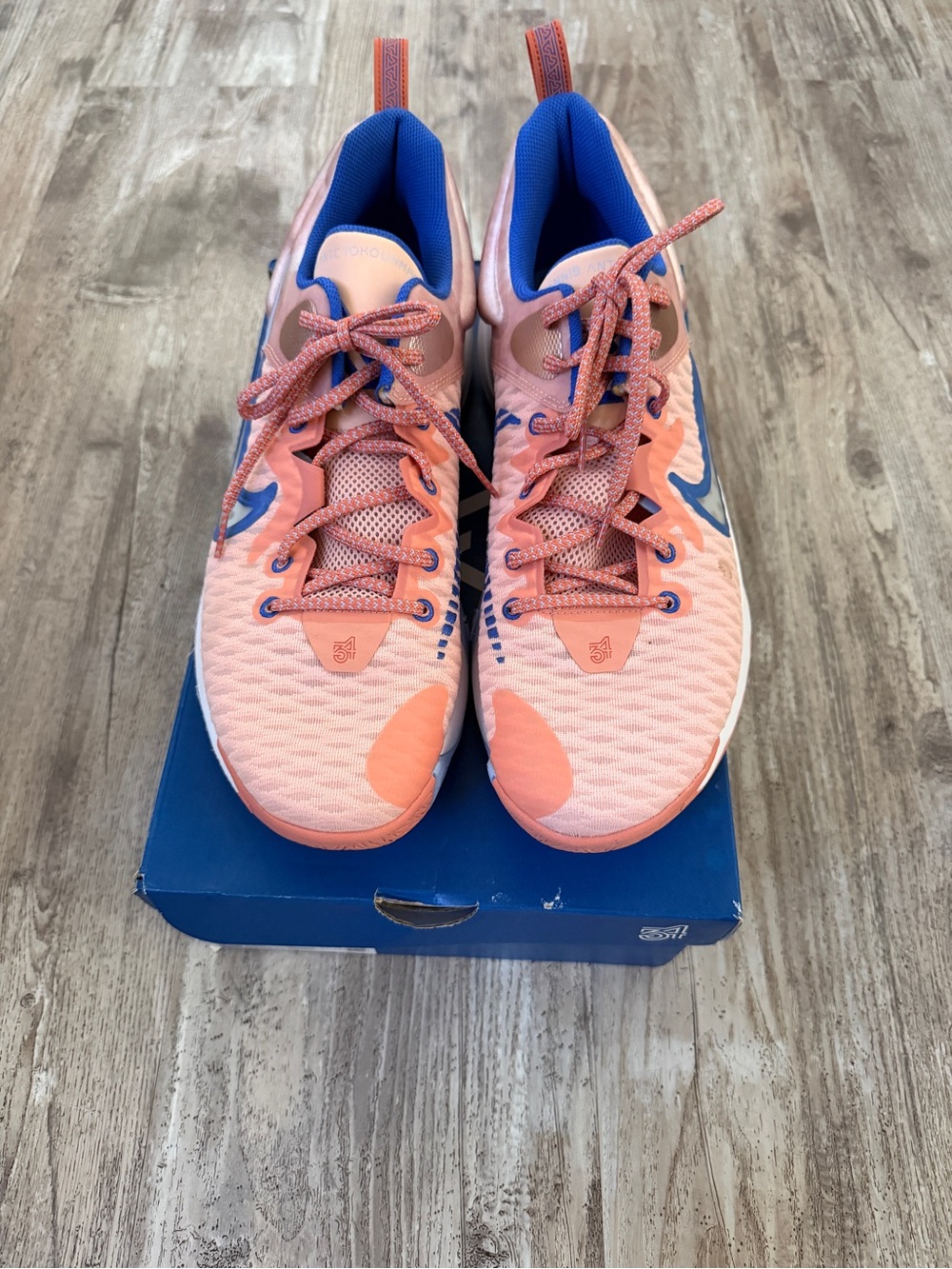 Giannis immortality basketball shoes